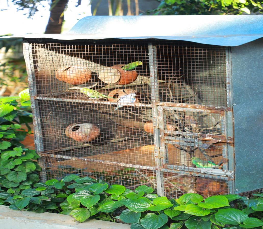 Farmdean Resort Kanyakumari Buitenkant foto