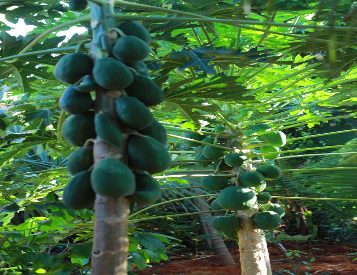 Farmdean Resort Kanyakumari Buitenkant foto