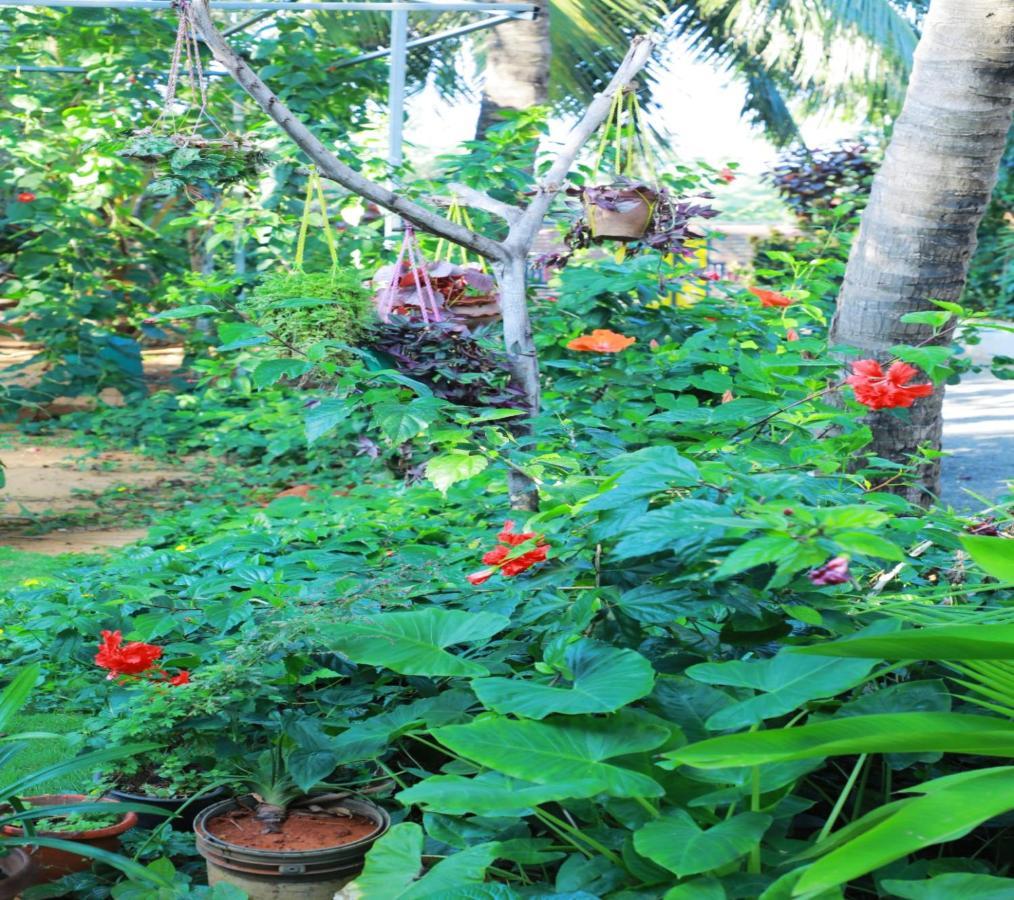 Farmdean Resort Kanyakumari Buitenkant foto